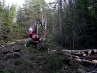 Skogeierforbundets kommentarer til NRK-sak om skogforvaltningen